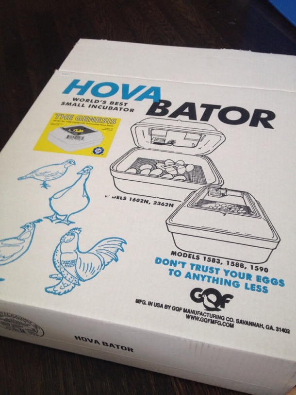 The HovaBator 1588 is a Styrofoam picture-window incubator with 